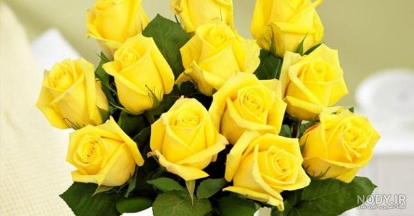  عکس گل زرد برای تصویر زمینه