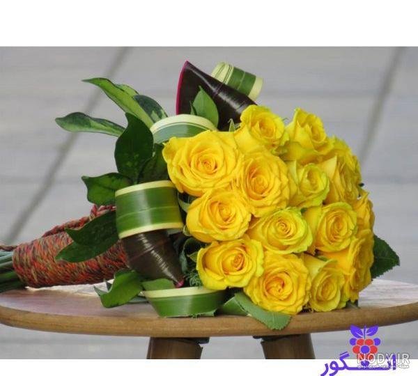 عکس گل زرد و قرمز