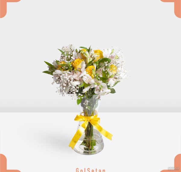  عکس گل زرد و سفید