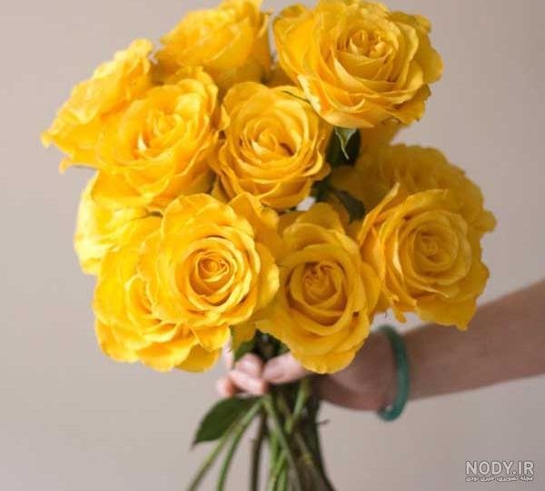  عکس گل زرد و سفید