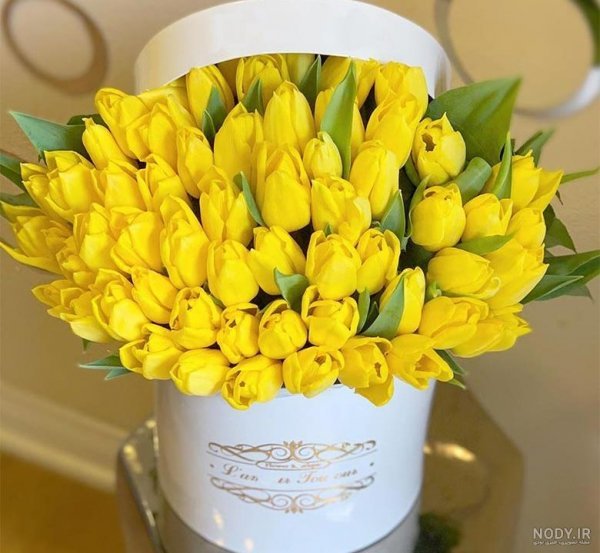  عکس گل زرد و سفید