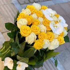  عکس گل زرد و سفید