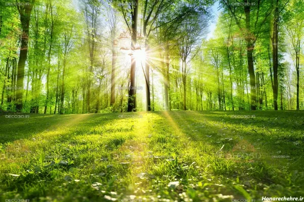  عکس پس زمینه سه بعدی طبیعت