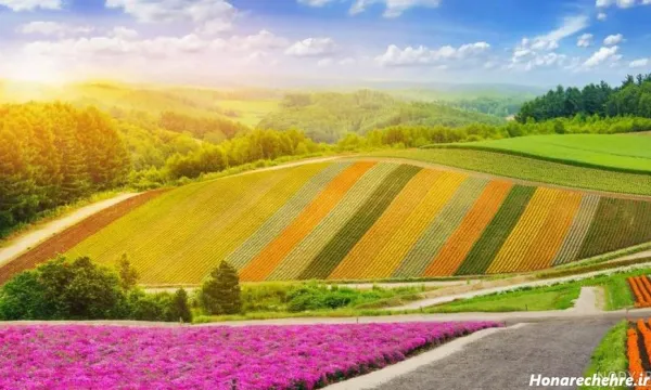  بک گراند ژاپنی