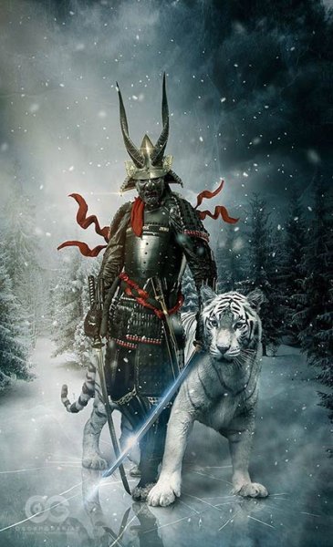  عکس سامورایی خفن