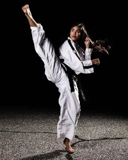  عکس نینجا رنجر برای پروفایل