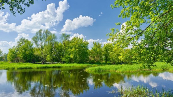 عکس طبیعت ساده