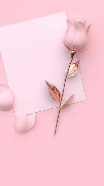  عکس بک گراند ساده