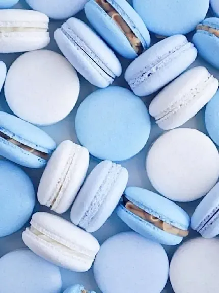 عکس کیوت ابی کمرنگ