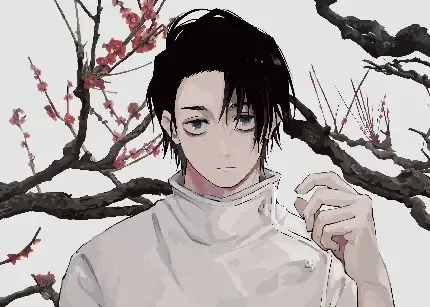  عکس انیمه وان پیس زورو