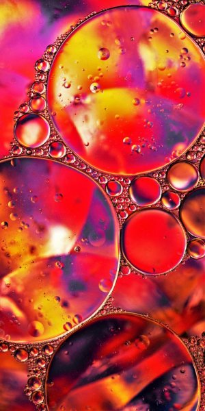 عکس قرمز کیوت