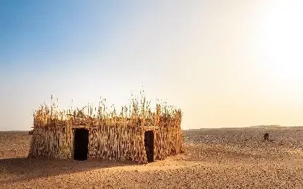 عکس کویر شب