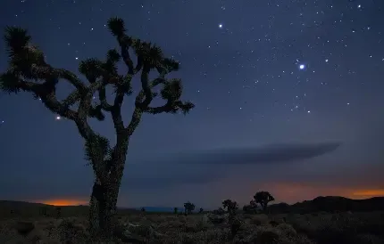  عکس بیابان شب