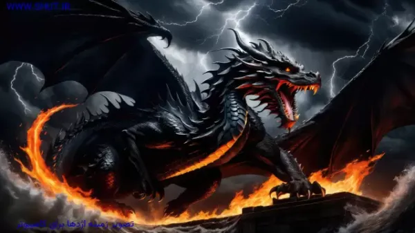  عکس اژدها برای تصویر زمینه