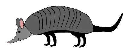  بک گراند دخترونه با آرایش رنگارنگ