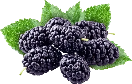  بک گراند دخترونه با آرایش رنگارنگ