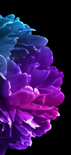  تصویر زمینه بنفش فانتزی