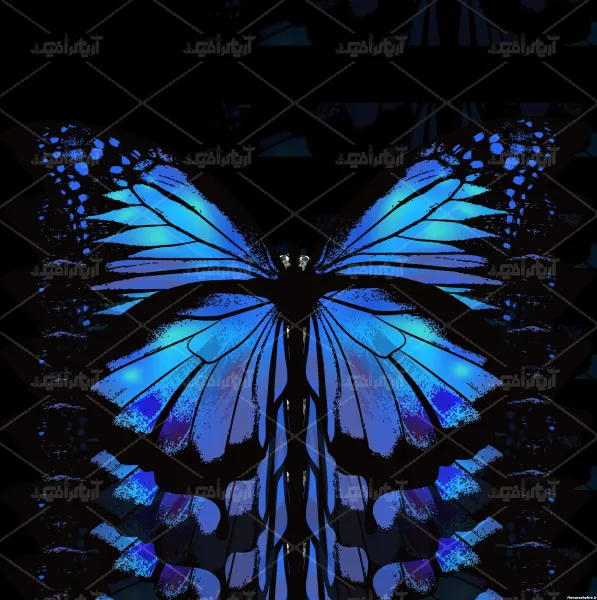  عکس پس زمینه پروانه آبی