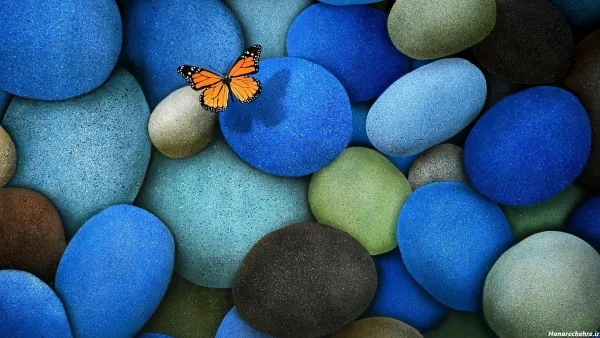  عکس پس زمینه پروانه آبی