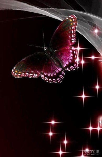 عکس پروانه مشکی طلایی برای تلگرام