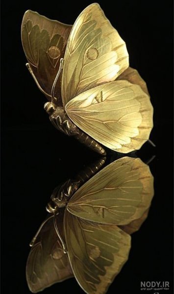  عکس پروانه مشکی طلایی برای تلگرام