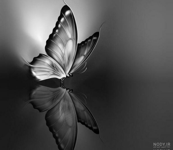  عکس پروانه مشکی طلایی برای تلگرام