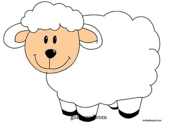  عکس ببعی کیوت فانتزی