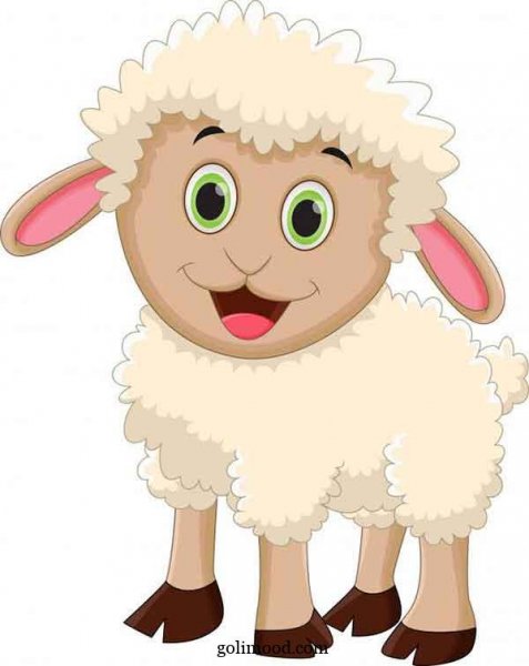  عکس بره کوچولو کارتونی