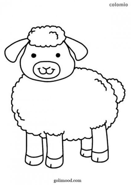  عکس بره کوچولو کارتونی