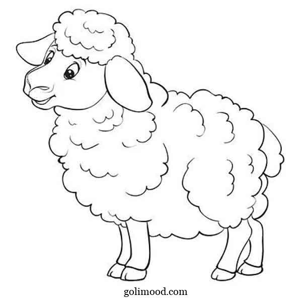  عکس بره کوچولو کارتونی