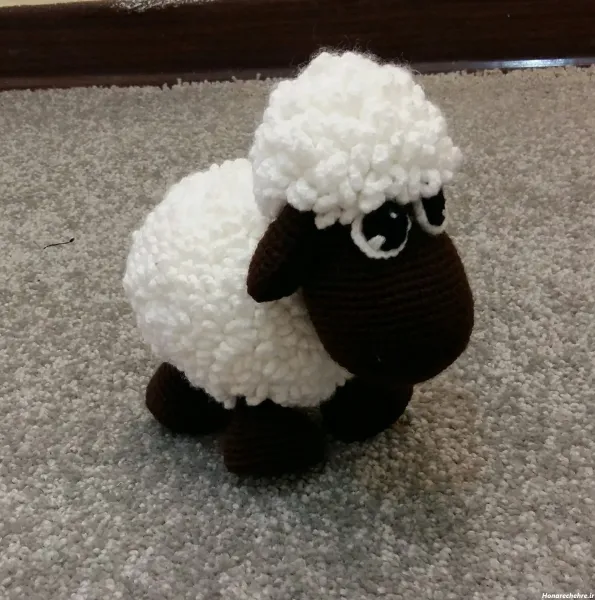  عکس گوسفند کیوت