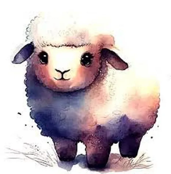  عکس گوسفند کیوت