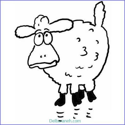  عکس گوسفند فانتزی