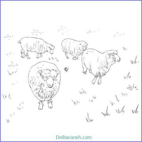  عکس گوسفند فانتزی