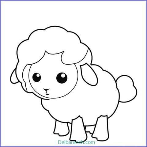  عکس گوسفند فانتزی