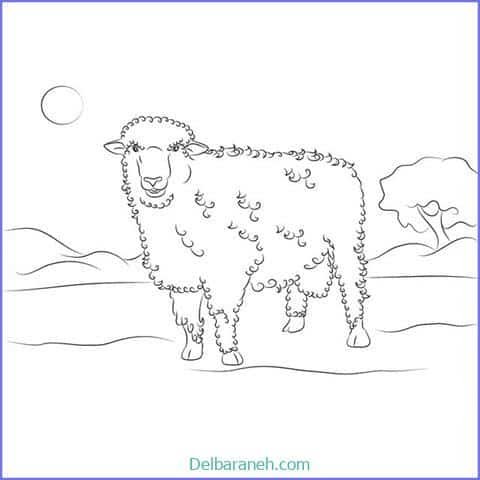  عکس گوسفند فانتزی