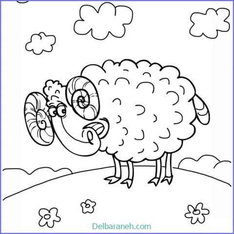  عکس گوسفند فانتزی