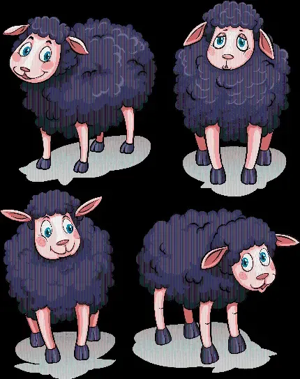 عکس گوسفند کیوت