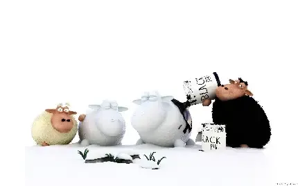 عکس گوسفند کیوت