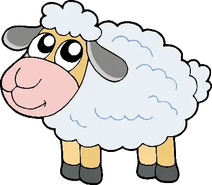 عکس گله گوسفند برای پروفایل