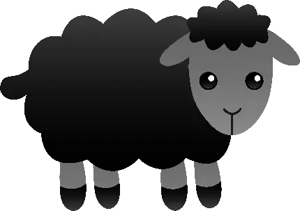  عکس گله گوسفند برای پروفایل