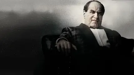  عکس پنگوئن بامزه