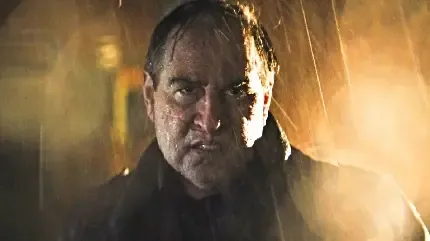  عکس پنگوئن بامزه