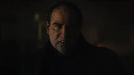  عکس پنگوئن بامزه