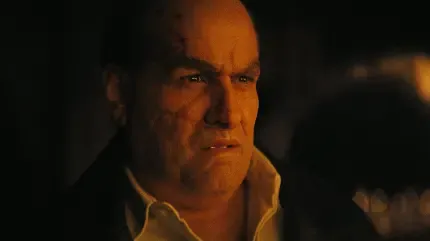  عکس پنگوئن بامزه