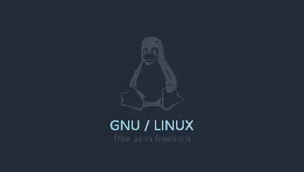  عکس پنگوئن بامزه