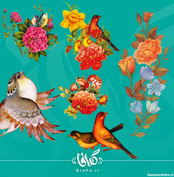  عکس پروفایل پرنده