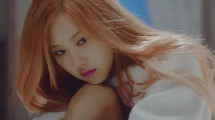  پس زمینه بلک پینک با کیفیت بالا برای کامپیوتر