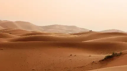 عکس بیابان واقعی