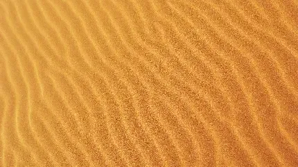 عکس بیابان واقعی